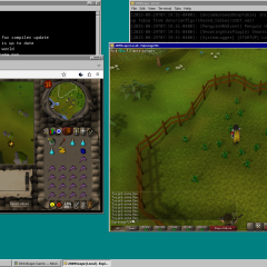 04/09Scape on FreeBSD