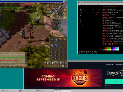 RuneScape on FreeBSD