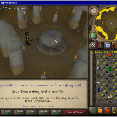 Total level 850