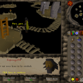 First Cat