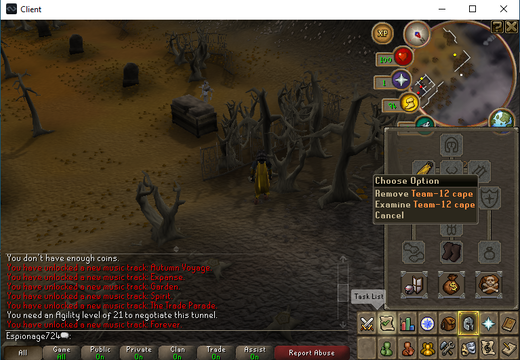 Team-12 cape