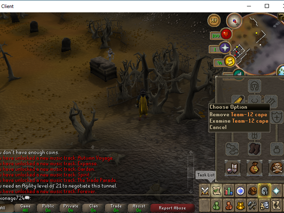Team-12 cape