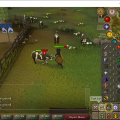 Total level 50