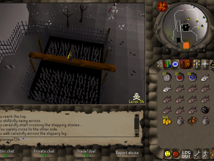 Wilderness Agility Course
