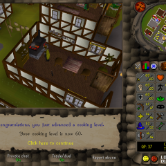Total level 1000