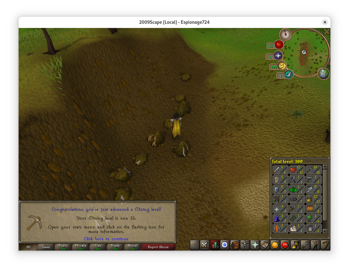 Total level 100