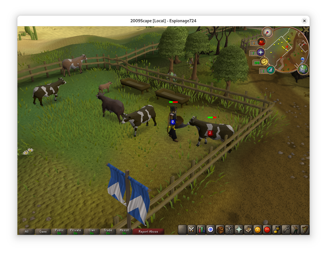 Killing Cows