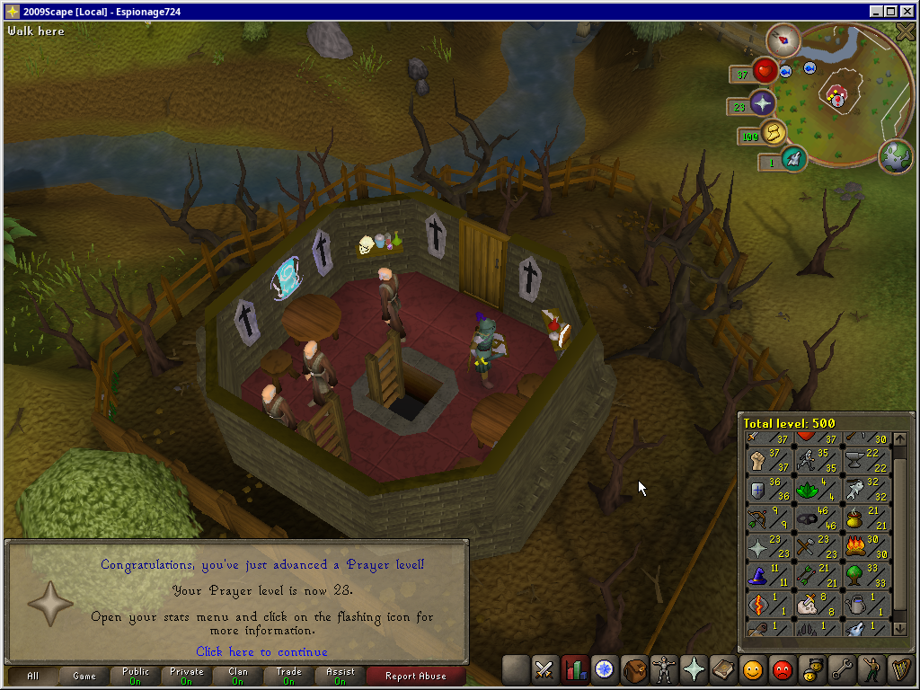 Total level 500