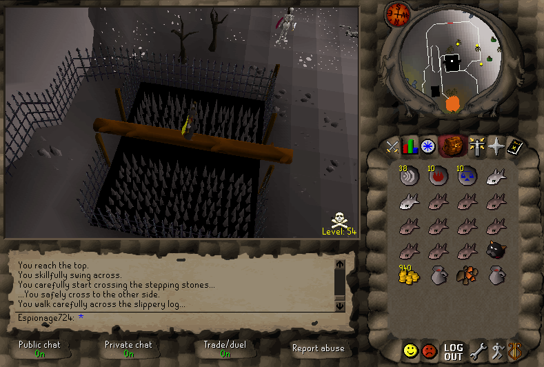Wilderness Agility Course